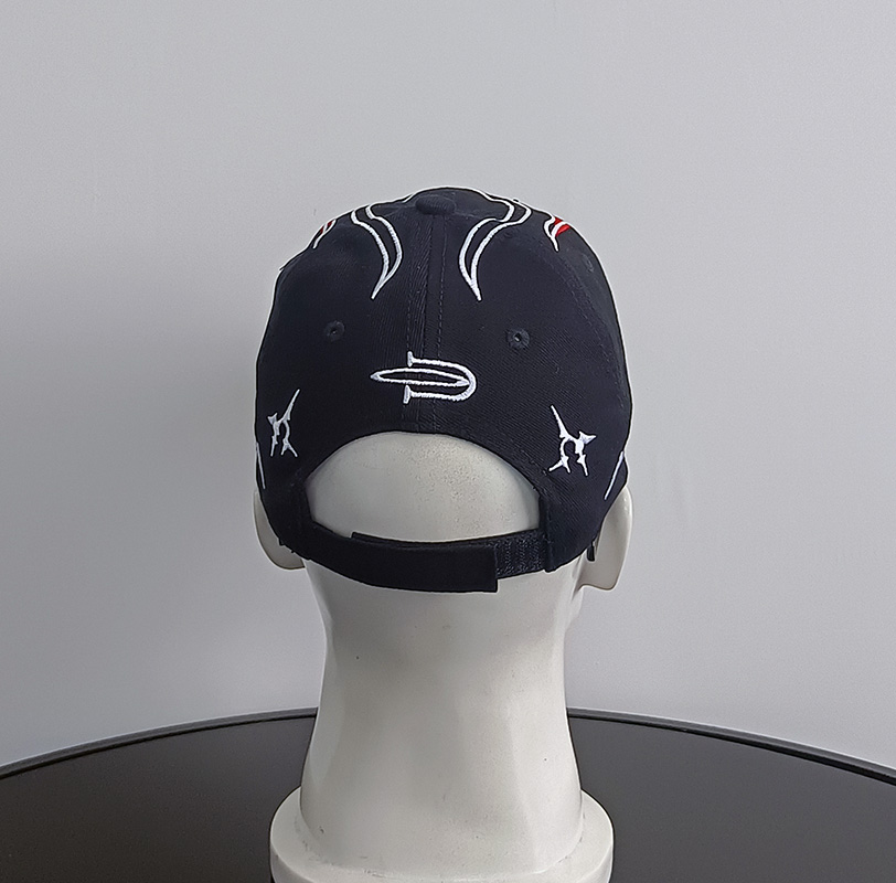 Daewen# baseball cap with colorful embroidery
