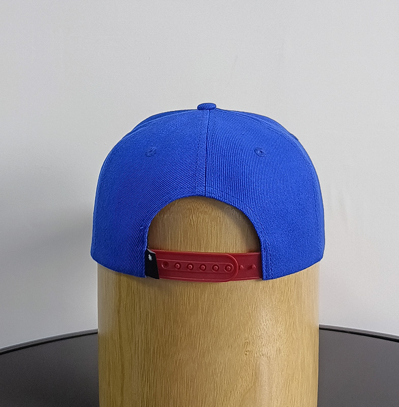 Daewen# snapback cap with embroidery