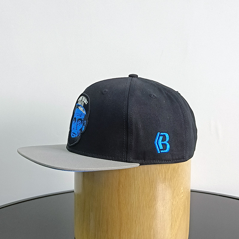 Daewen# snapback cap with embroidery pacth and label