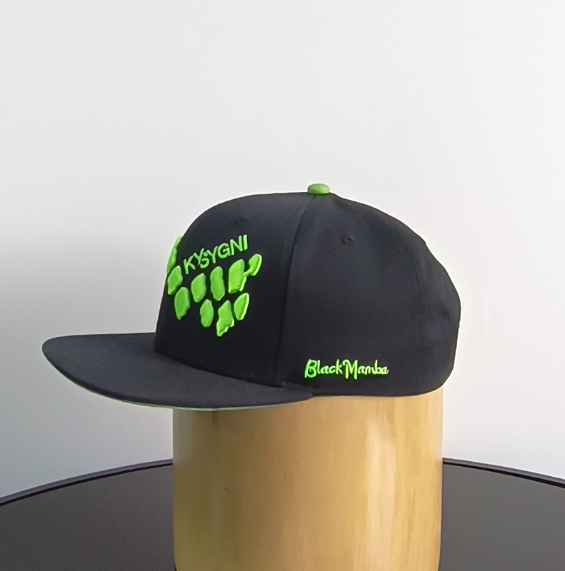 Daewen# snapback cap with embroidery