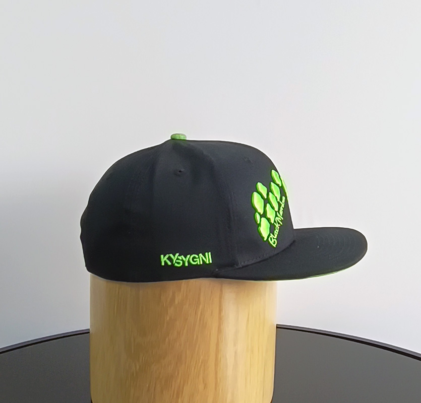 Daewen# snapback cap with embroidery
