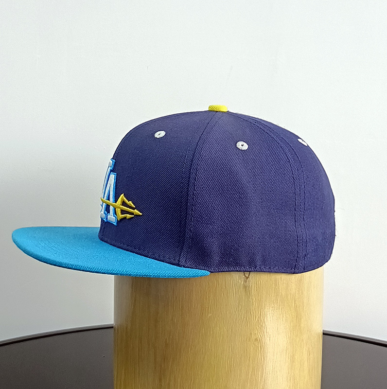 Daewen# snapback cap with embroidery