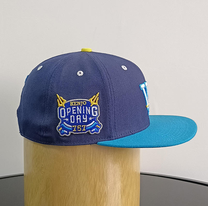 Daewen# snapback cap with embroidery