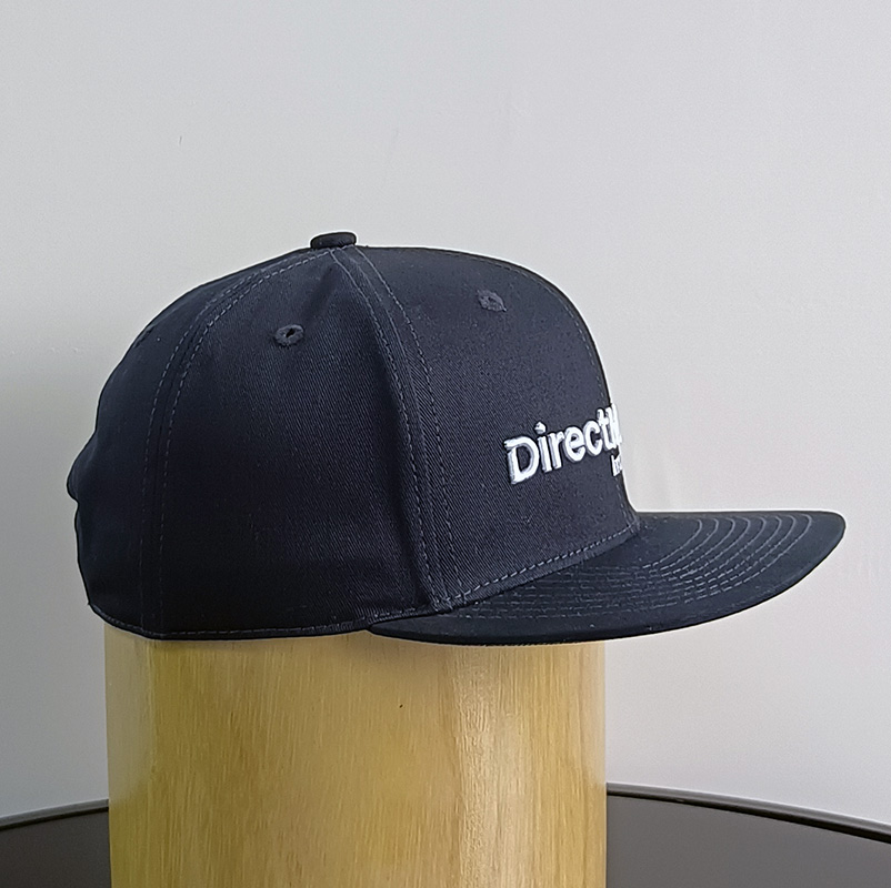 Daewen# snapback cap with embroidery