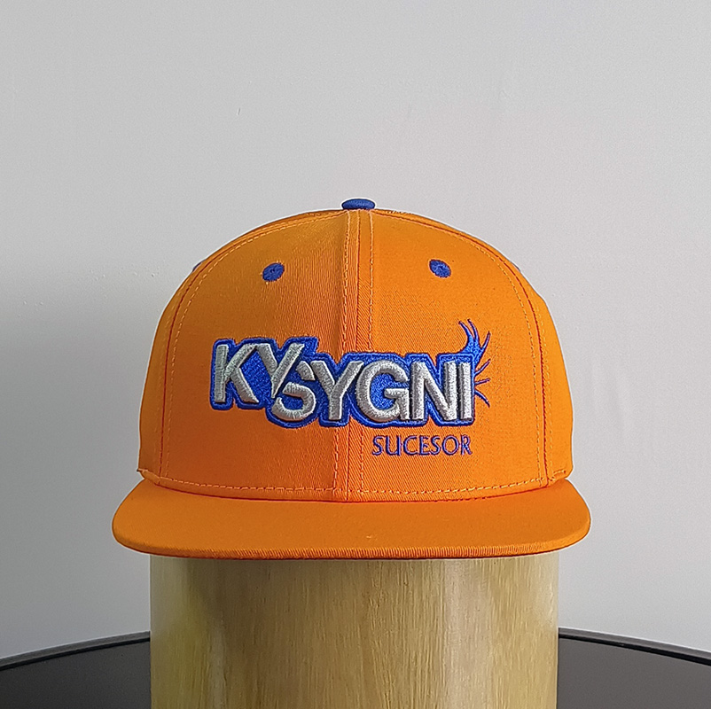Daewen# snapback cap with embroidery