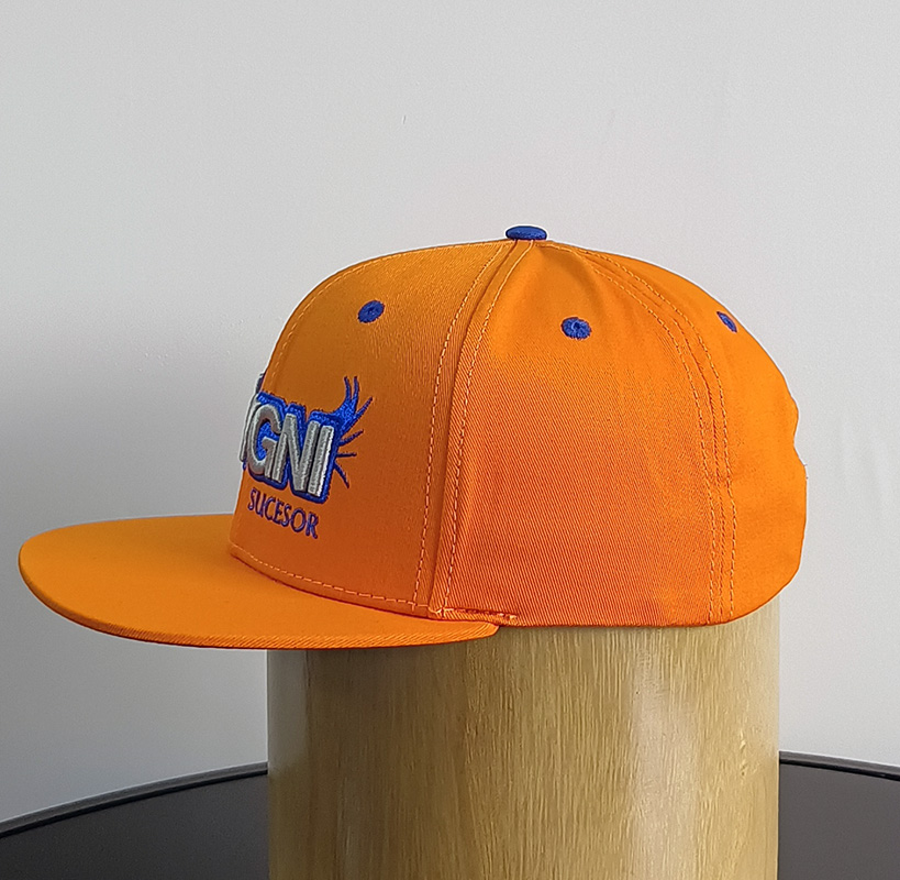Daewen# snapback cap with embroidery