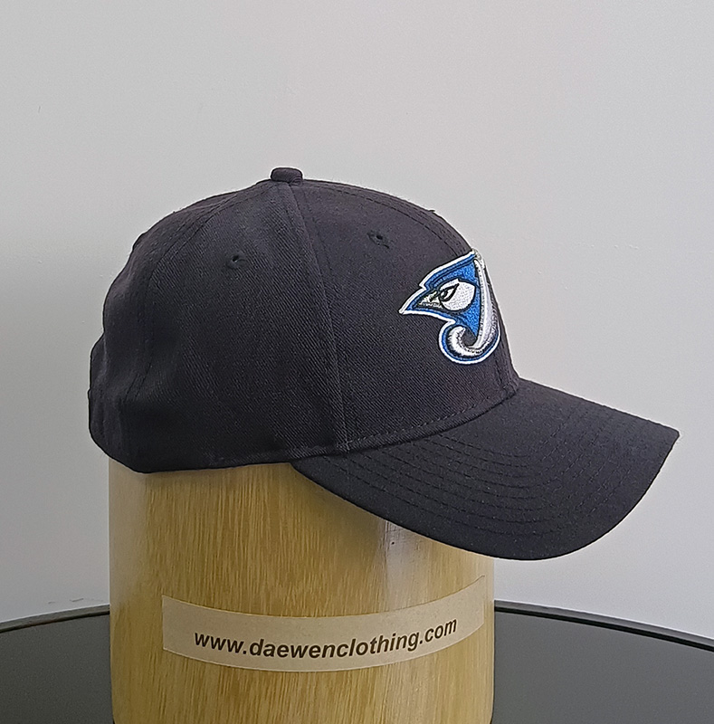 Daewen# baseball cap with embroidery and velcro back