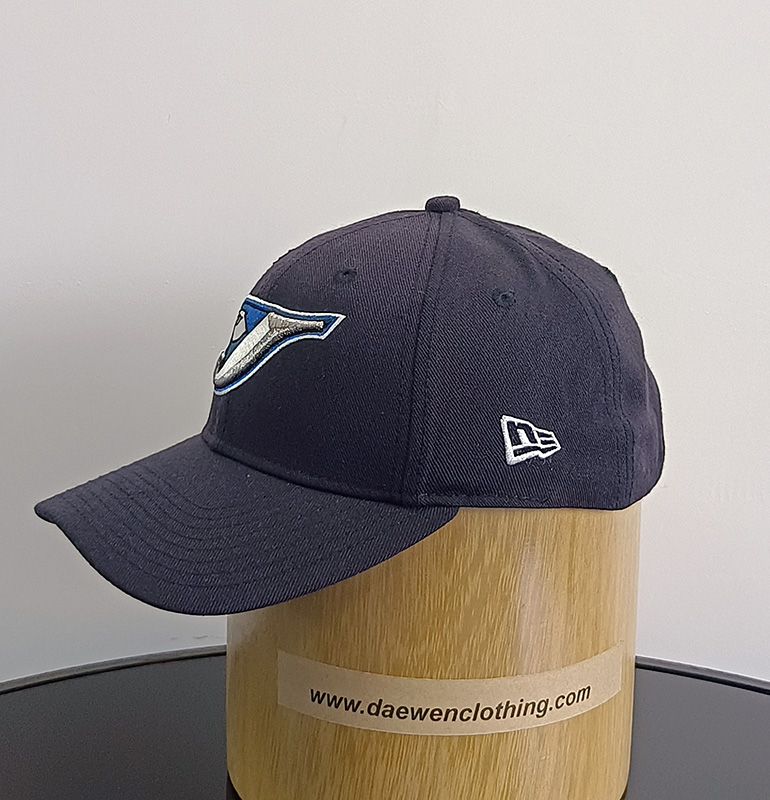 Daewen# baseball cap with embroidery and velcro back