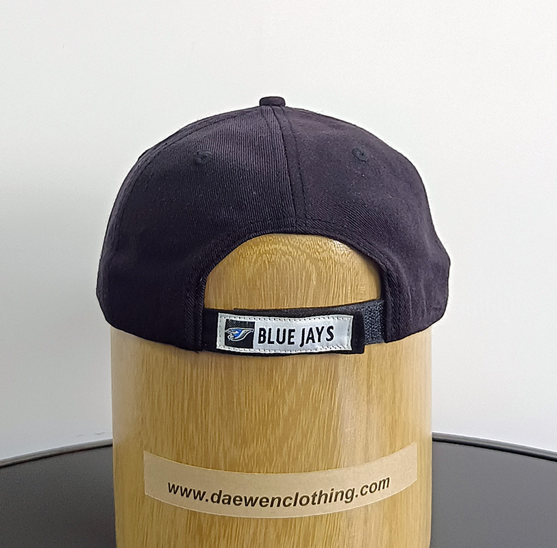 Daewen# baseball cap with embroidery and velcro back
