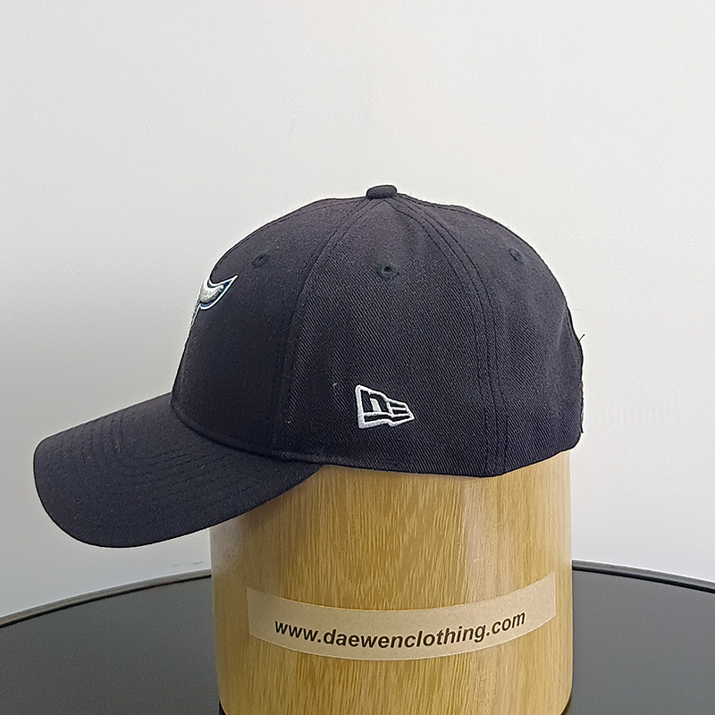 Daewen# baseball cap with embroidery and velcro back