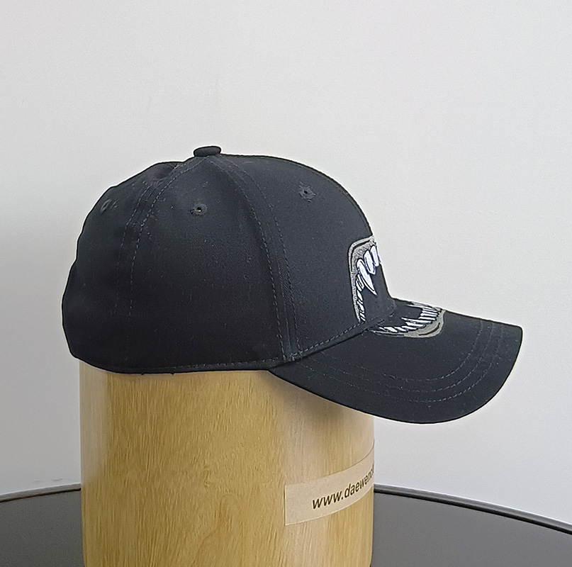 Daewen# baseball cap with embroidery 