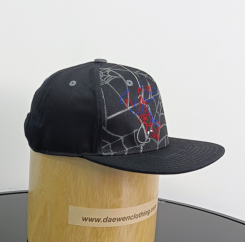 Daewen# snapback cap with embroidery and printing