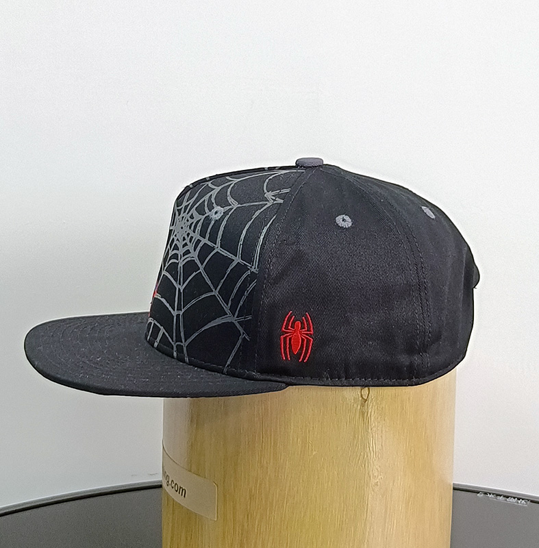 Daewen# snapback cap with embroidery and printing