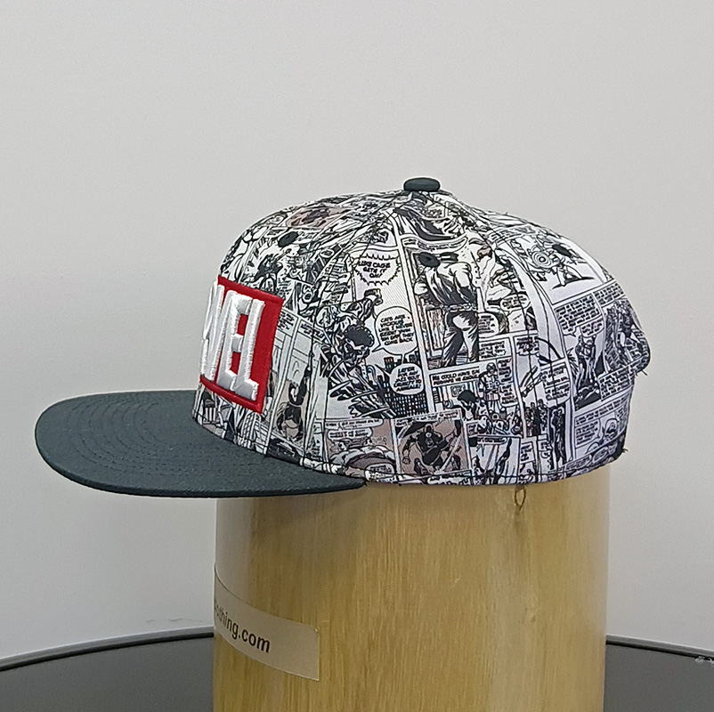 Daewen# snapback cap with 3D embroidery