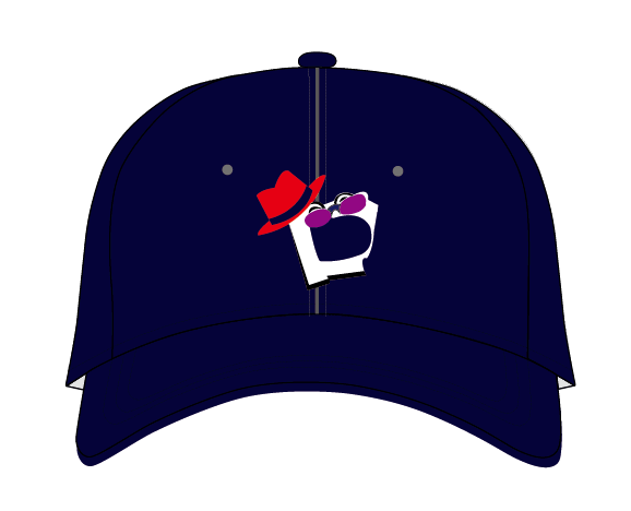 leather brim vfa letters logo snapback hats